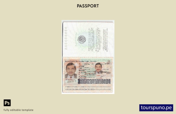 Plantilla de pasaporte de México lista para imprimir